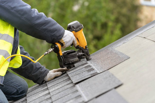 Best Gutter Installation and Repair  in Sale Creek, TN